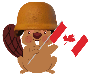 Canadian Beaver